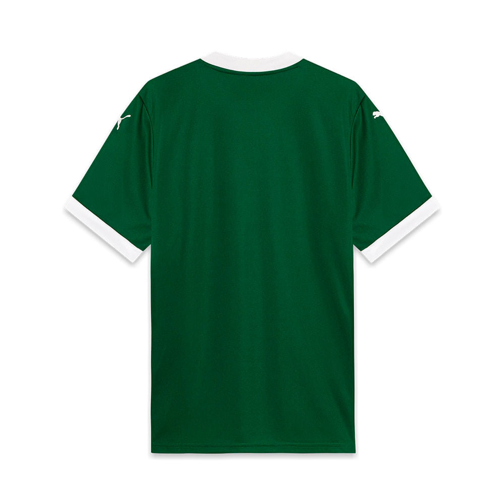 Camisa Palmeiras Home 2025/26 versão Torcedor - Masculina - Verde