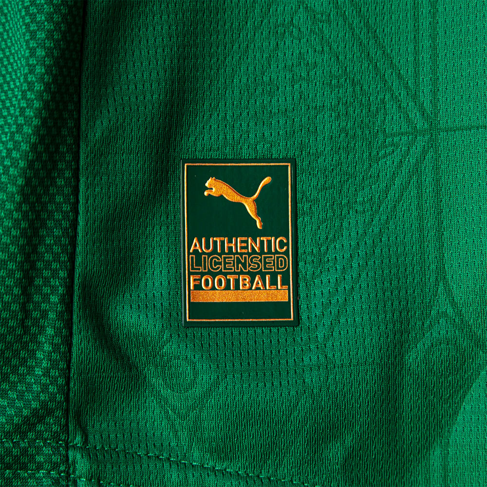 Camisa Palmeiras Home 2025/26 - Versão Jogador - Masculina - Verde