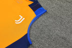 Kit de Treino Juventus 24/25 Laranja e Azul