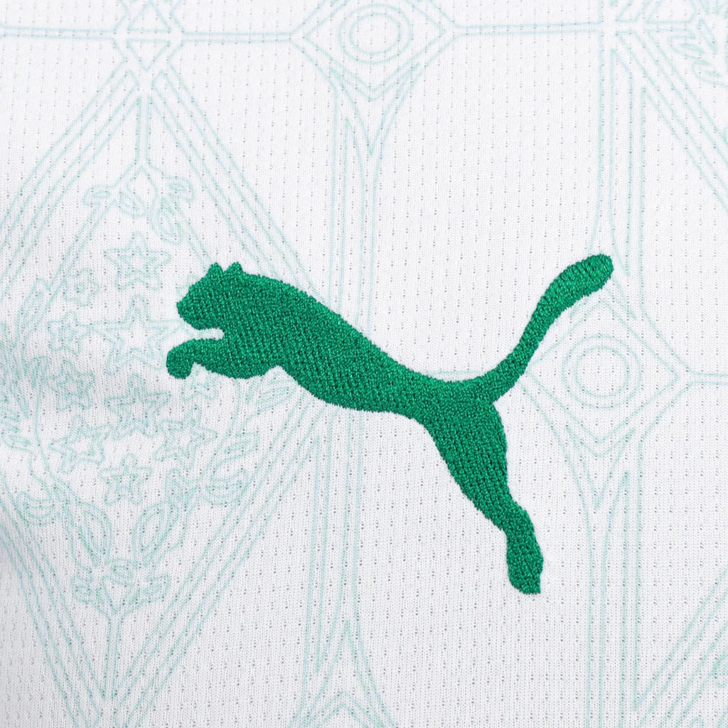 Camisa Palmeiras 25/26 Away - Torcedor Masculina