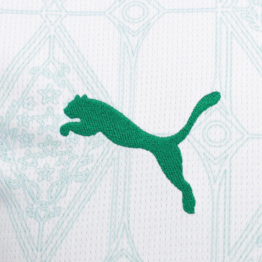 Camisa Palmeiras 25/26 Away - Torcedor Masculina