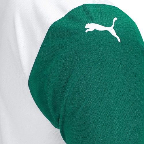 Camisa Palmeiras 25/26 Away - Torcedor Masculina