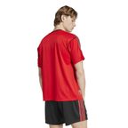 Camisa Flamengo 25/26 Edição Especial Icon - Torcedor Masculina