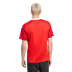 Camisa Flamengo 25/26 Goleiro Away - Torcedor Masculina