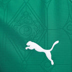 Camisa Palmeiras I 25/26 s/n Torcedor Puma Feminina - Verde