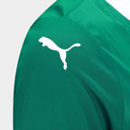 Camisa Palmeiras I 25/26 s/n Torcedor Puma Feminina - Verde